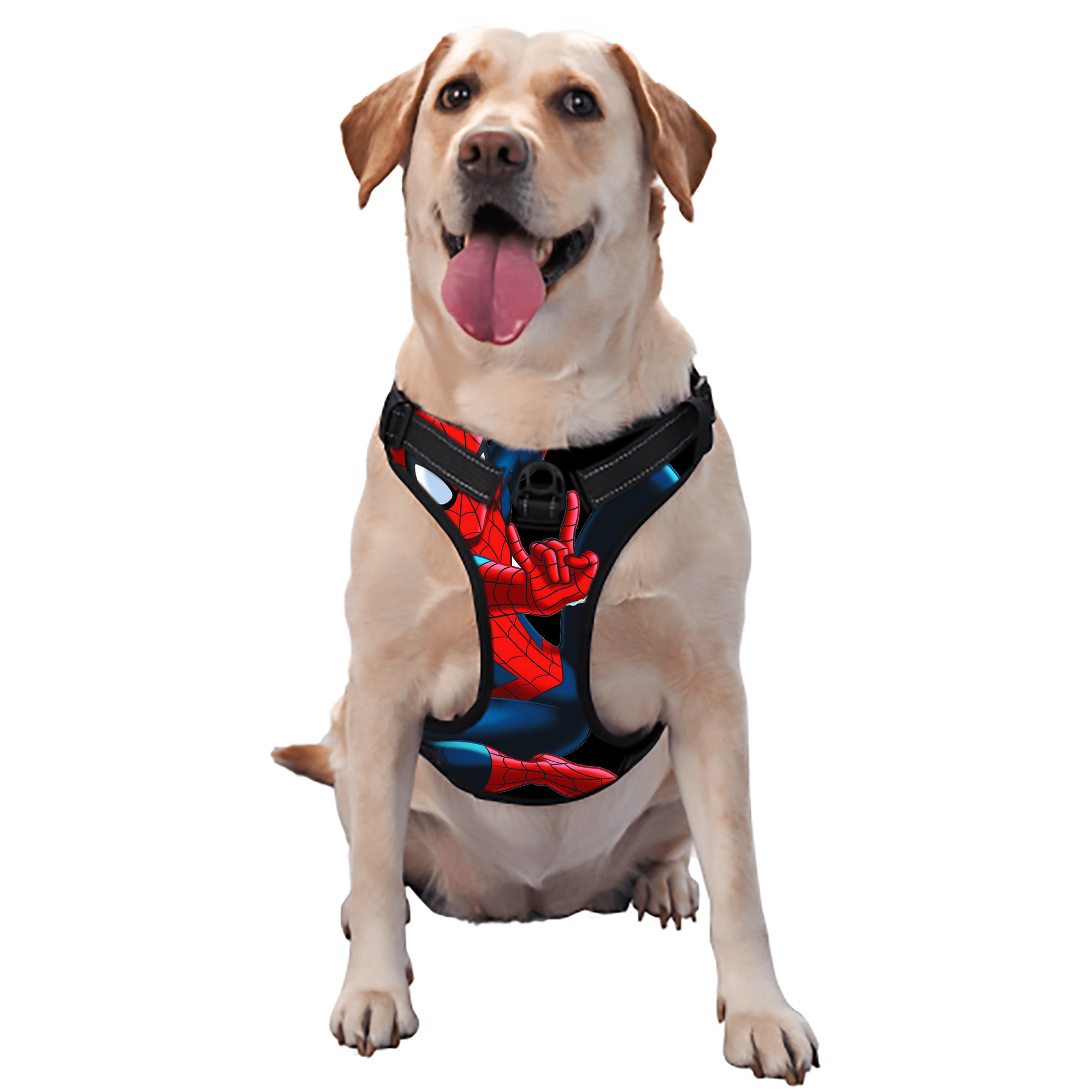 （画像用） Spider Man スパイダーマン ペット用ハーネス